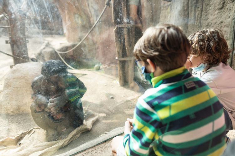 Farbfoto: zwei Kinder kniehen vor einer Glasscheibe hinter der ein Affe sitzt und sie schauen sich an.
