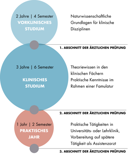 Diese Grafik zeigt den Aufbau des Staatsexamens Medizin. Der Aufbau ist auch im Textteil beschrieben.