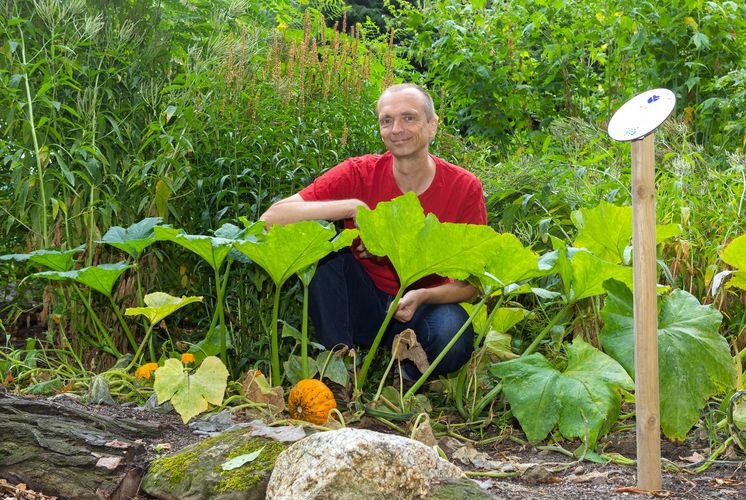 Dr. Martin Freiberg, Kustos des Botanischen Gartens der Universität Leipzig und Mitglied des Deutschen Zentrums für integrative Biodiversitätsforschung (iDiv)