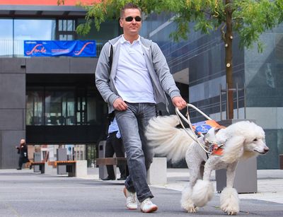 Foto: ein Mann mit Sonnenbrille wird von einem Blindenhund auf dem Uniinnenhof geführt
