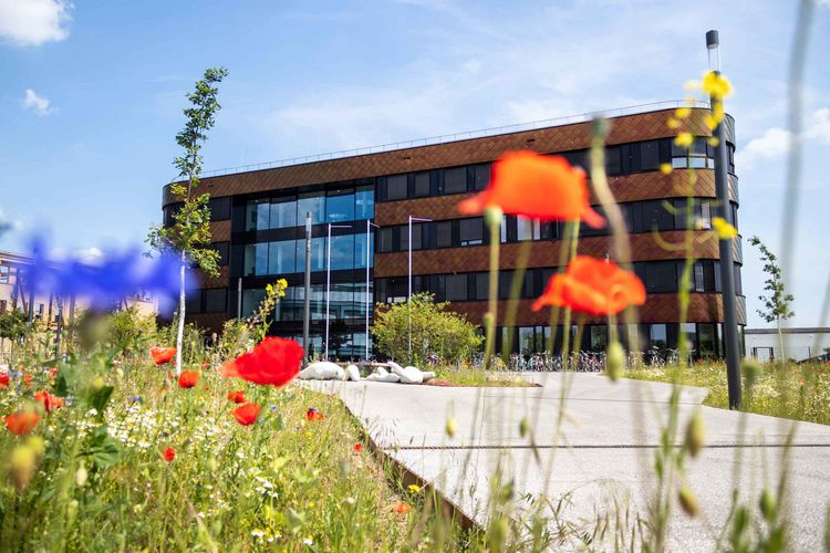 Seit 2020 steht der iDiv-Neubau auf dem Gelände der Alten Messe in Leipzig