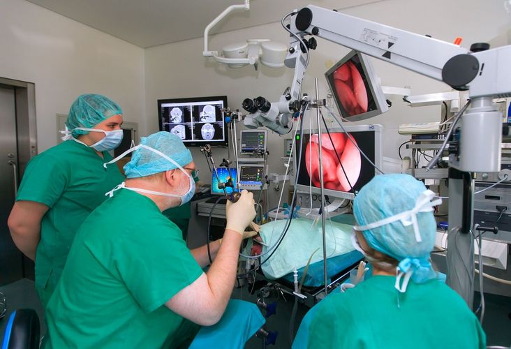Klinik für Kleintiere: Direktor Prof. Dr. Gerhard Oechtering im Jahr 2016 bei der Operation einer Französischen Bulldogge.