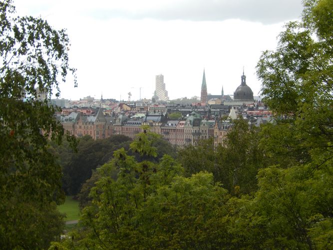 Das Bild zeigt eine Grünfläche mit Bäumen vor der Skyline Stockholms.