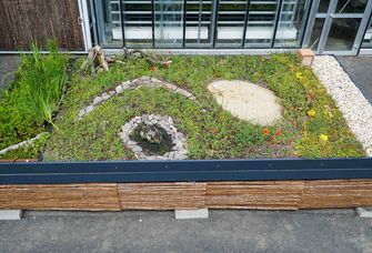 Die neue Station auf dem Außengelände des Botanischen Gartens zeigt, wie ein Gründach gestaltet werden kann.