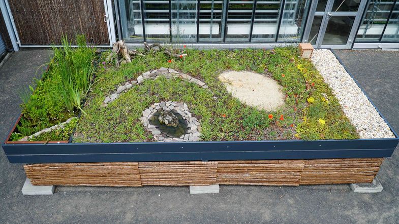 Die neue Station auf dem Außengelände des Botanischen Gartens zeigt, wie ein Gründach gestaltet werden kann.