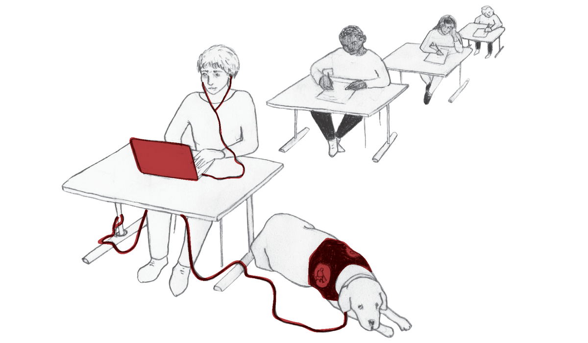 zur Vergrößerungsansicht des Bildes: Zeichnung: Während der Prüfung nutzt ein sehbeeinträchtigter Prüfling einen Laptop als Nachteilsausgleich.