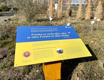 Das Hinweisschild für die Steppenanlage im Botanischen Garten der Universität Leipzig erinnert farblich und textlich an die Schrecken des Krieges, insbesondere des Ukraine-Krieges. Foto: Carsten Heckmann