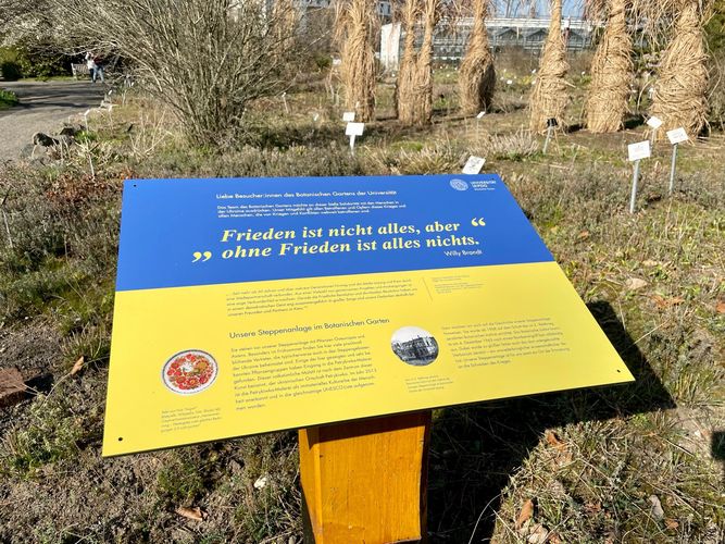 Das Hinweisschild für die Steppenanlage im Botanischen Garten der Universität Leipzig erinnert farblich und textlich an die Schrecken des Krieges, insbesondere des Ukraine-Krieges. Foto: Carsten Heckmann