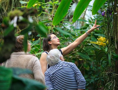 Foto: Eine junge Frau zeigt einer älteren Dame den botanischen Garten während der Orchideenschau.