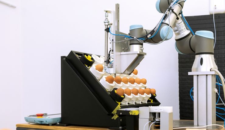 Prototyp zur Bestimmung des Geschlechts von Hühnern im Ei, Foto: Swen Reichhold