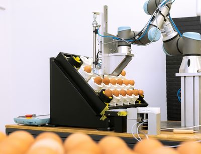 Prototyp zur Bestimmung des Geschlechts von Hühnern im Ei, Foto: Swen Reichhold