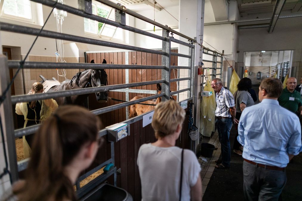 zur Vergrößerungsansicht des Bildes: Farbfoto: Stall mit Pferd und Fohlen, eine Frau versorgt das Pferd, die Gäste schauen zu