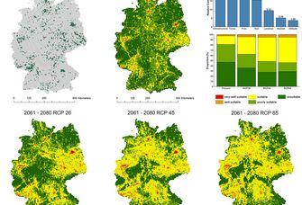Prognose zur Ausbreitung für Ambrosia artemisiifolia in Deutschland unter aktuellen und zukünftigen Klimabedingungen.
