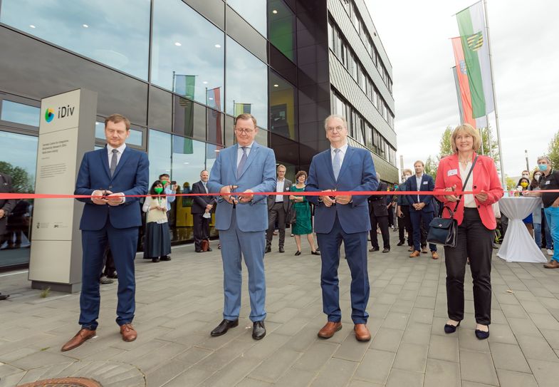Auf dem Bild sind die drei Ministerpräsidenten und die Generalsekretärin der Deutschen Forschungsgemeinschaft (DFG) bei der Eröffnung des neuen iDiv-Forschungsgebäudes zu sehen.