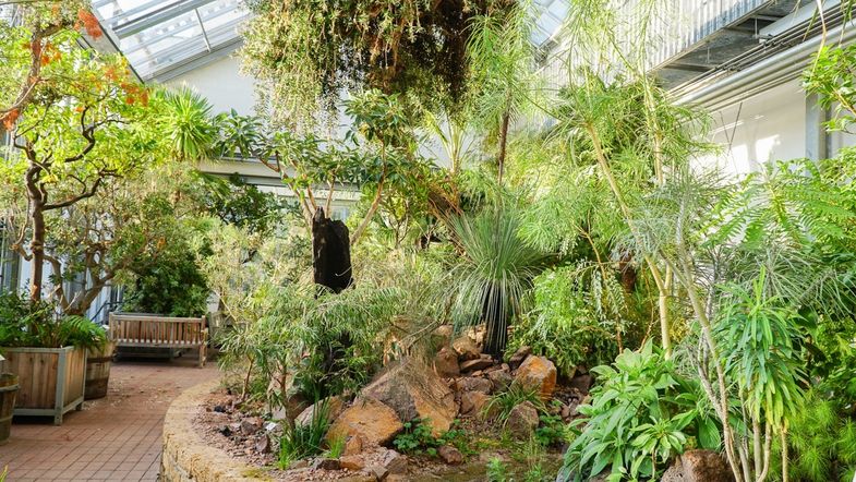 Mediterranhaus im Botanischen Garten der Universität Leipzig