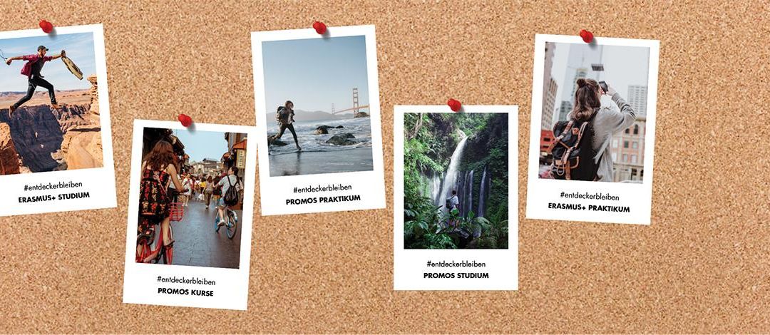 An einer Pinnwand hängen fünf Polaroidfotos mit Motiven von jungen Leuten, die im Sommer das Leben genießen.
