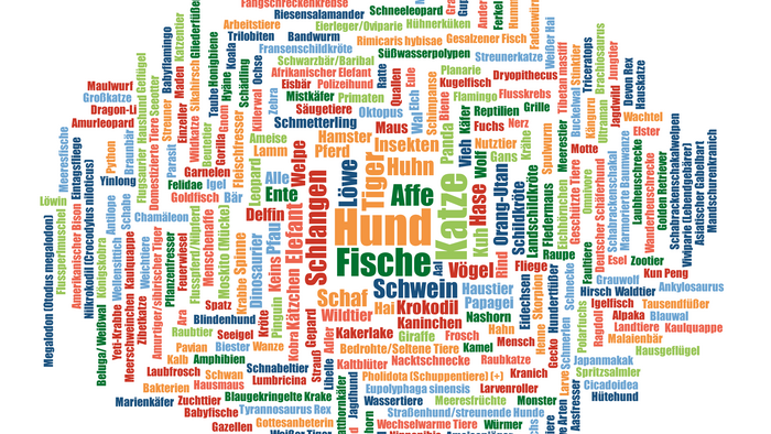 Die Grafik zeigt eine Wortwolkr der in den Interviews in China (städtische Region) genannten Tiere.