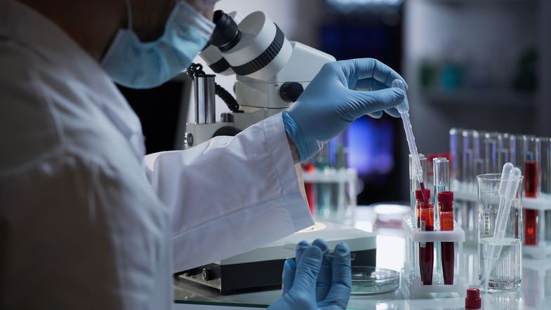 Neue Erkenntnisse aus den Laboren der Universitätsmedizin Leipzig sollen dazu beitragen, gezielte Therapien für die kognitive Beeinträchtigung bei chronische Nierenerkrankung zu entwickeln.