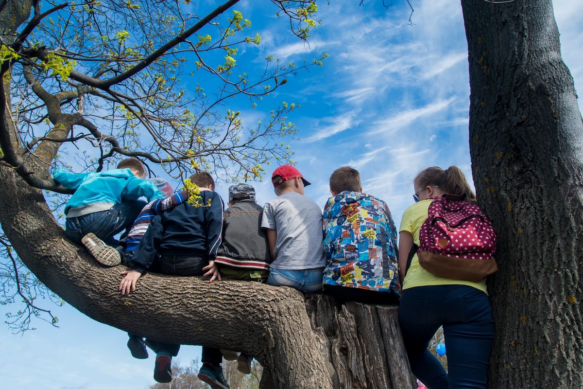 Zu sehen sind die Rücken von sieben Kindern, welcher auf dem Ast eines Baumes sitzen. 