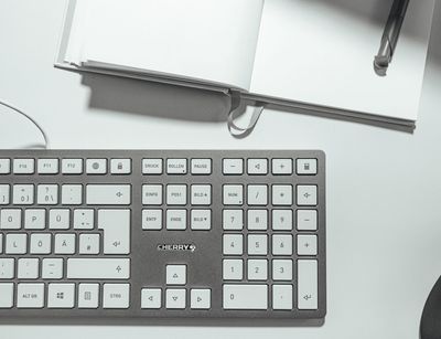 Tastatur und Laptop. Foto: Academic Lab, Andy Plötz