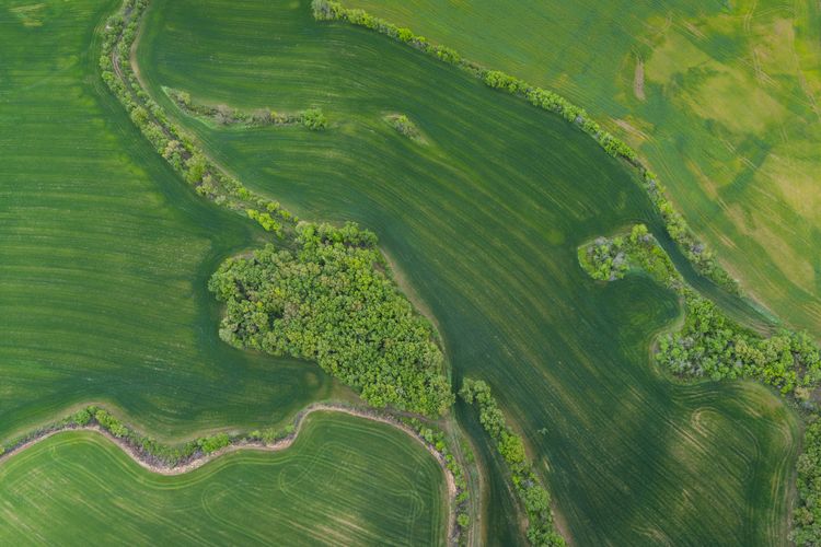 Landwirtschaft pr&auml;gt unsere Landschaft und erbringt vielf&auml;ltige Leistungen. Eine neue Studie vergleicht die Auswirkungen intensiver und extensiver Nutzung auf Nahrungsmittelproduktion, Bodengesundheit, biologische Vielfalt und andere &Ouml;kosystemleistungen