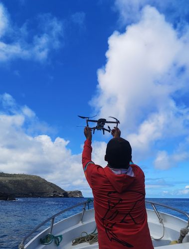 Start einer Drohne, um Galápagos-Meerechsen von oben zu erfassen.