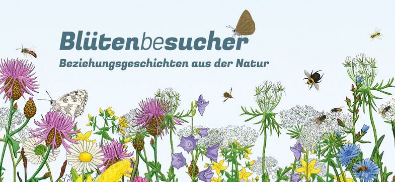 Ausstellung Blüten(be)sucher im Botanischen Garten in Leipzig.