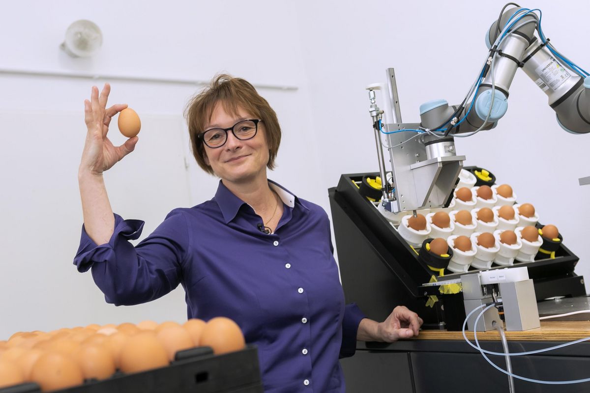 enlarge the image: Endokrinologin Professorin Almuth Einspanier hält ein Ei in die Luft. Daneben ist ein Prototyp