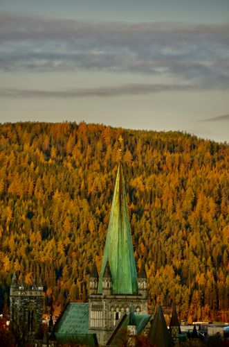 Das Bild zeigt den Nidaros-Dom in Trondheim bei Sonnenaufgang.