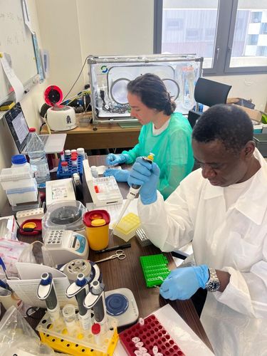 Das Team des mobilen Schnelllabors testet bei der Agence Régionale de Santé Mayotte, Frankreich, Wasserqualitätsparameter für sicheres Trinken.