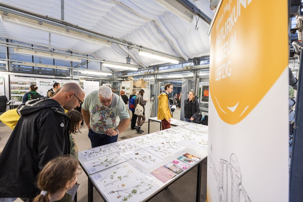 zur Vergrößerungsansicht des Bildes: Besucher über einen Tisch mit verschiedenen Pflanzen gebeugt
