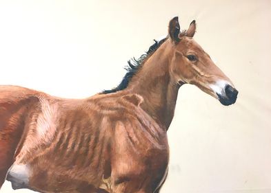 Martin Galle: Horse, 2022, Öl auf Leinwand (Ausschnitt) Martin Galle: Horse, 2022, Öl auf Leinwand (Ausschnitt)