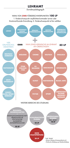 Die Grafik zeigt den Aufbau des Studiums Lehramt Sonderpädagogik.