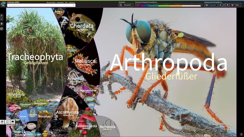 The home screen of LifeGate shows the full diversity of life at a glance. Users can zoom in at any given area until they reach the species level. Photo: LifeGate 
