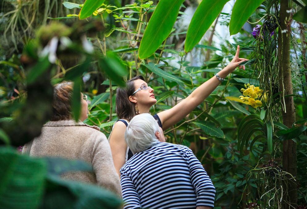 zur Vergrößerungsansicht des Bildes: Foto: Eine junge Frau zeigt einer älteren Dame den botanischen Garten während der Orchideenschau.