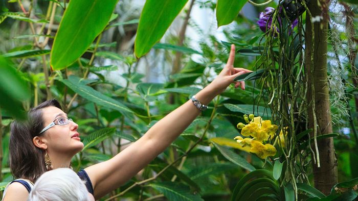 Foto: Eine junge Frau zeigt einer älteren Dame den botanischen Garten während der Orchideenschau.
