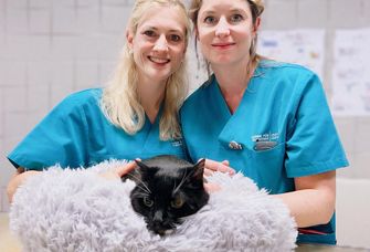 Dr. Katja Kalenyak (links) und Dr. Frauke Rödler mit einer Katze.