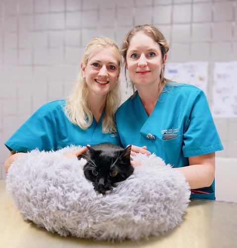 Dr. Katja Kalenyak (links) und Dr. Frauke Rödler mit einer Katze.