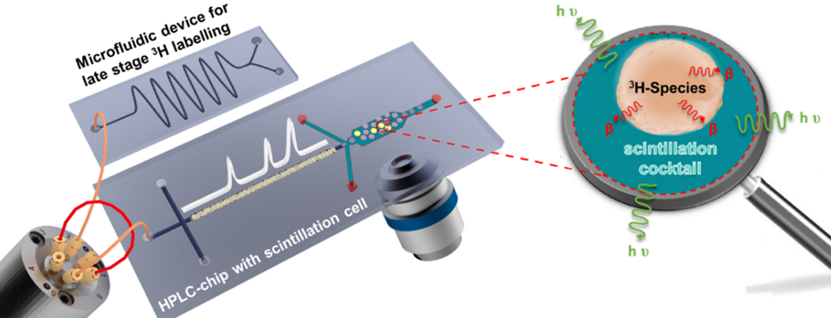 enlarge the image: Schematic representation of a microfluidic chip with channels highlighting the processes inside the scintillation cocktail