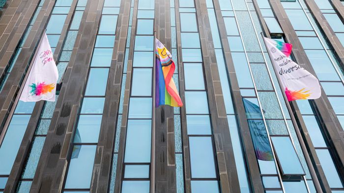Die Flagge "Happy Pride", die Regenbogenflagge und die Diversitätsflagge der Universität