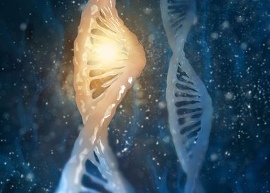 Die DNA eines Menschen kann in Milliarden kleinen Abschnitten gelesen werden.