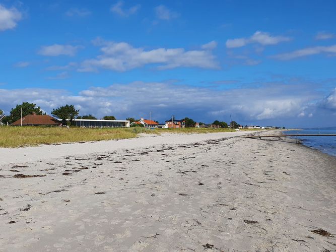 Ein kleiner Stadtstrand, im Hintergrund typisch nordische Häuschen aus Holz und in bunten Farben angemalt.