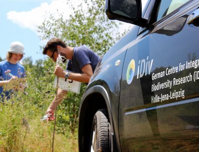 Foto: zwei Forschende aus dem iDiv stehen im Gelände bei einer Untersuchung. Im Vordergrund des Bildes parkt ein Auto, das mit den Namen des Forschungszentrums beschriftet ist.