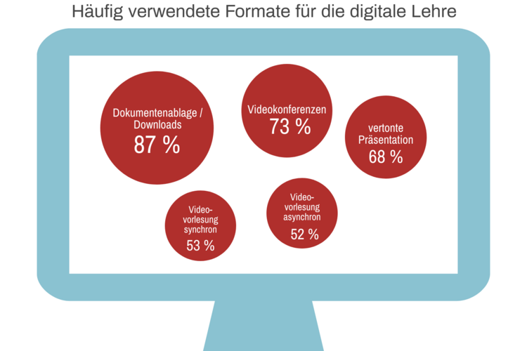 Die Grafik zeigt, welche Formate am häufigsten genutzt wurden. Diese Informationen finden Sie auch im Text.