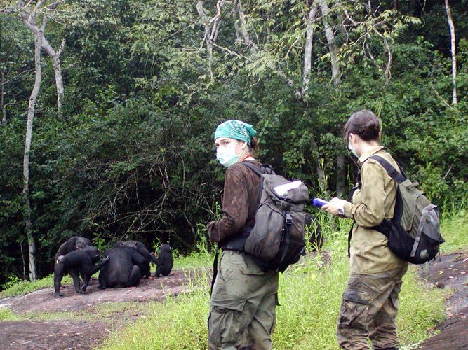 Scientists during field research in Taï National Park, Republic of Côte d'Ivoire. Picture: Sonja Metzger, MPI-EVA, Germany