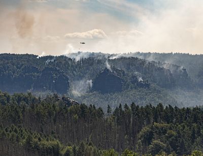 Ein brennender Wald, darüber zwei Löschhubschrauber.