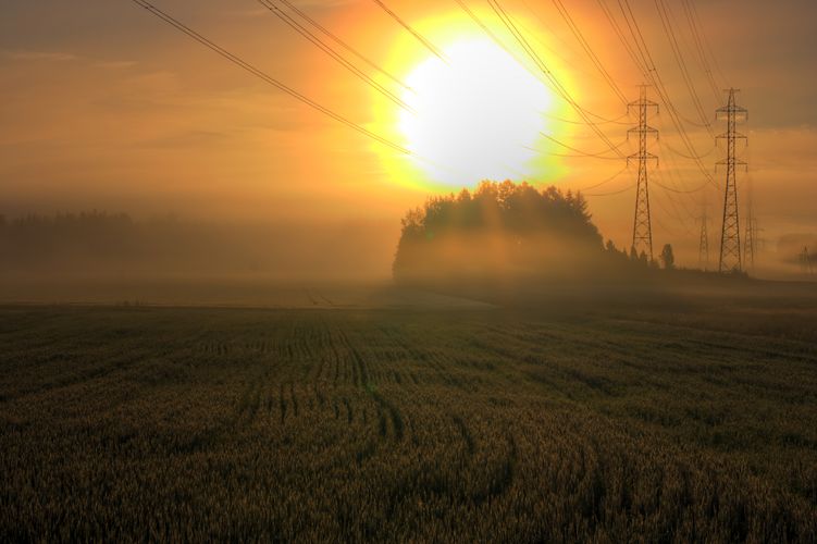 Die europäische Landwirtschaft emittiert steigende Mengen von Treibhausgasen. In der Gemeinsamen Agrarpolitik der EU fehlen laut den Forschern hinreichende Maßnahmen für einen effektiven Klimaschutz.