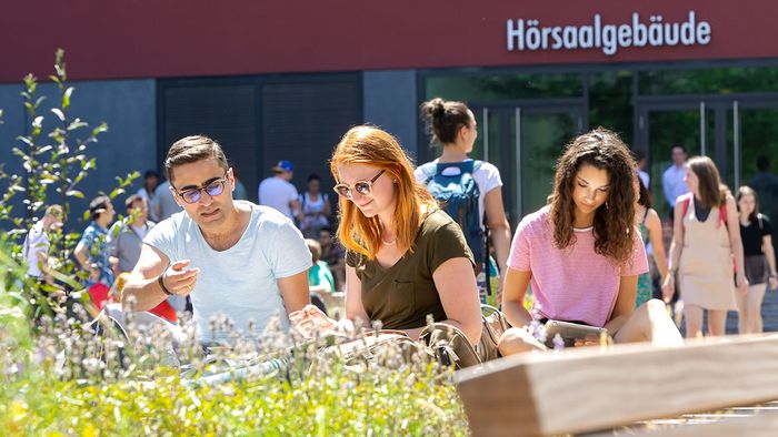 Junge Menschen sitzen im Innenhof des Campus Augustusplatz in der Sonne und sprechen miteinander oder lesen. Im Vordergrund sind noch die Grünpflanzen an den Bänken zu sehen.