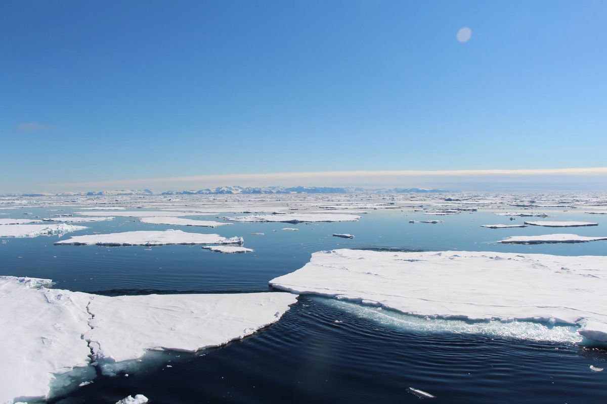 zur Vergrößerungsansicht des Bildes: Ozean mit arktischen Eisschollen