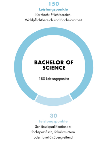 Diese Grafik zeigt den Aufbau des Bachelor of Science Wirtschaftswissenschaften. Der Aufbau ist auch im Textteil beschrieben.